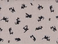 Katze Feline natur Katze Feline natur