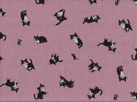 Katze Feline rosa Katze Feline rosa