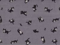 Katze Feline grau Katze Feline grau