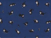 Katze Feline dunkelblau Katze Feline dunkelblau