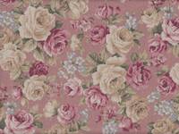 Old Rose rosa Old Rose rosa