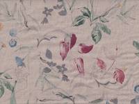 Draw a Flower natur Draw a Flower natur