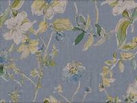 Wildblumen hellblau Wildblumen hellblau