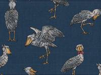 Schuhschnabel dunkelblau Schuhschnabel dunkelblau