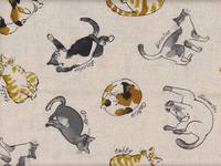 Katzen natur Katzen natur