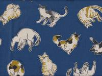 Katzen blau Katzen blau