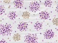 Hanabi flower purple Hanabi flower purple