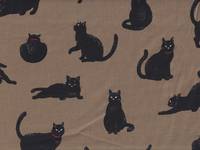 Katzen ocker Katzen ocker