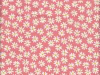 Daisy lachs Daisy lachs