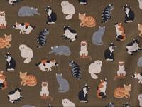 Katzen grün-braun Katzen grün-braun