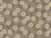 Daisy moss green Daisy moss green