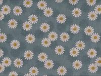 Daisy blue Daisy blue