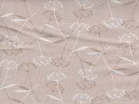 Dandelion nature Dandelion nature