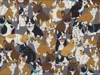 Hundehaufen grau Hundehaufen grau