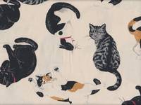 Katzen natur Katzen natur