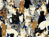 Katzenhaufen blau Katzenhaufen blau