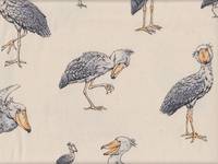 Schuhschnabel creme Schuhschnabel creme