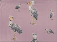 Schuhschnabel rosa Schuhschnabel rosa