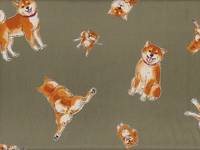 Shiba Inu khaki Shiba Inu khaki