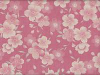 Vintage Sakura pink Vintage Sakura pink