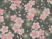 Vintage Sakura ash green Vintage Sakura ash green
