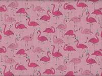 Flamingo rosa Flamingo rosa