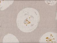 Cotton flower natural Cotton flower natural