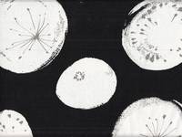 Cotton flower black Cotton flower black