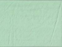 Cotton+Steel Raindrop Pistachio Cotton+Steel Raindrop Pistachio