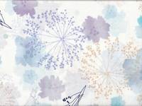 Chico flower Chico flower