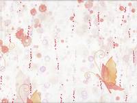 Chico butterfly red Chico butterfly red