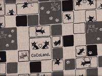 Katze Coco schwarz Katze Coco schwarz