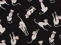 Kuro neko schwarz Kuro neko schwarz