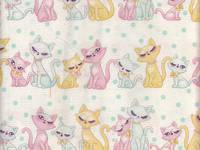 Schmucke Katze weiß Schmucke Katze weiß