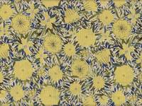 Blumen gelb Blumen gelb