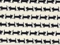 Katzen weiß Katzen weiß