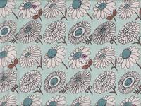 Hinagiku blue Hinagiku blue