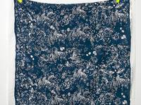 nani IRO Lei nani C nani IRO Lei nani C