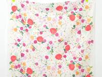 nani IRO rakuen A double gauze nani IRO rakuen A double gauze