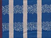 Echino Field blue Echino Field blue