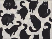 Koti - MUSTA KISSA off white Koti - MUSTA KISSA off white