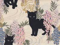 Katzen & Wisteria natur Katzen & Wisteria natur