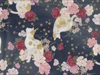 Hana neko blau Hana neko blau