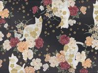 Hana neko schwarz Hana neko schwarz