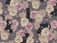 Kiku neko klein flieder Kiku neko klein flieder