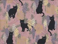 Katzen & Wisteria klein coral Katzen & Wisteria klein coral