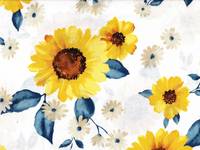 Sonnenblumen weiß Sonnenblumen weiß