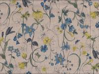 Wildblumen natur blau Wildblumen natur blau