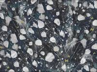 Cotton+Steel Kasumisou Indigo Cotton+Steel Kasumisou Indigo