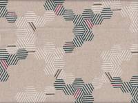 Tayutou Turtle natur Tayutou Turtle natur